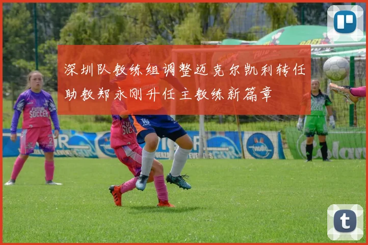 深圳队教练组调整迈克尔凯利转任助教郑永刚升任主教练新篇章