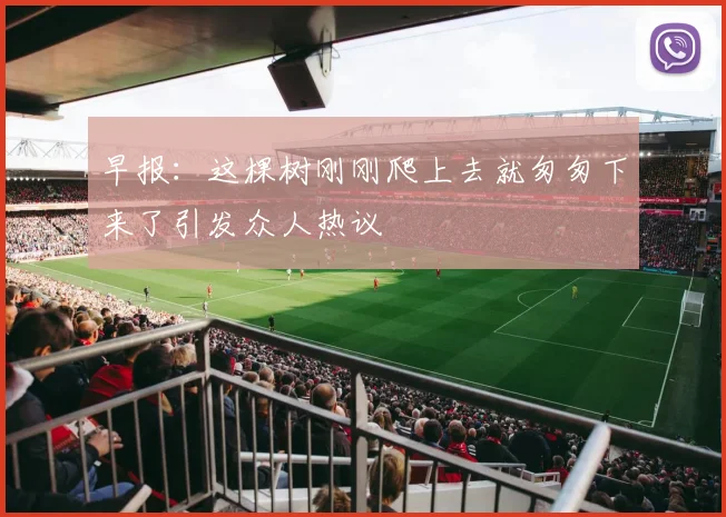 早报：这棵树刚刚爬上去就匆匆下来了引发众人热议