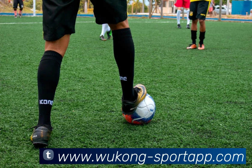 悟空体育平台生态图