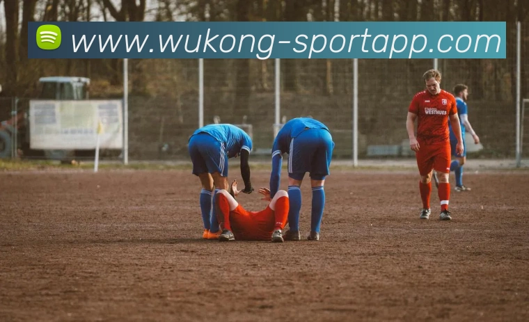 悟空体育APP 封面图