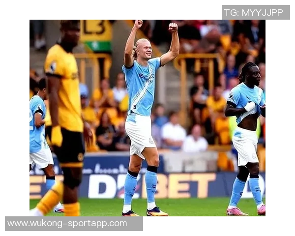 近五年英超最佳引援评选结果揭晓哈兰德力压群雄荣膺第一