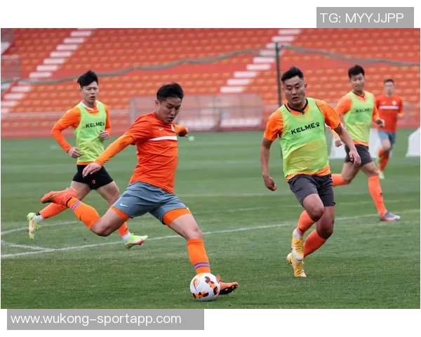 海牛主场惜败海港莱昂纳多双响兰克尔泽各入两球假摔染黄